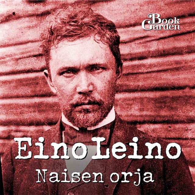 Book cover for Naisen orja