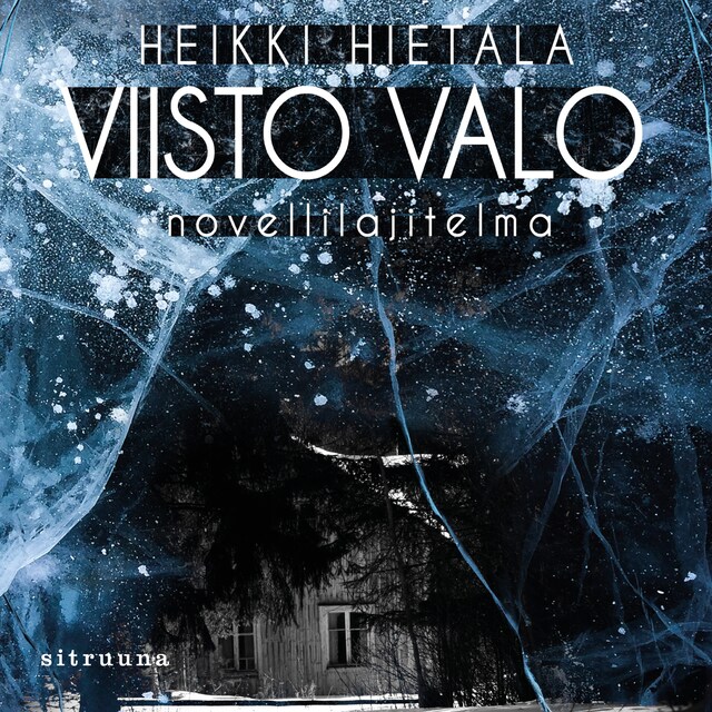 Copertina del libro per Viisto valo