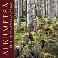 Alkumetsä
