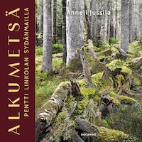 Alkumetsä
