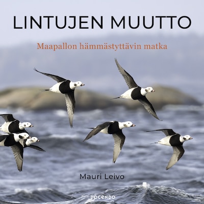 Lintujen muutto – Maapallon hämmästyttävin matka - Äänikirja - Mauri Leivo
