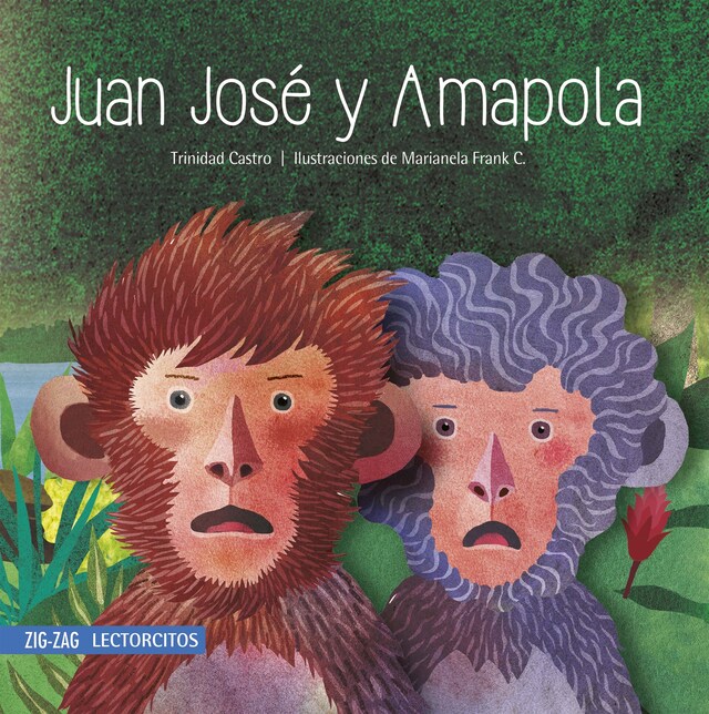 Book cover for Juan José y Amapola