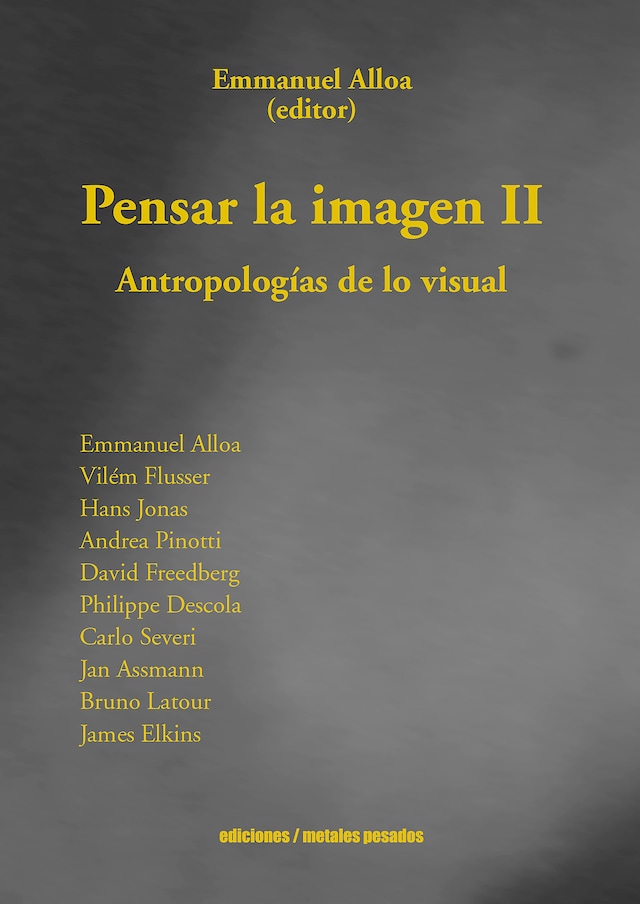 Book cover for Pensar la imagen II