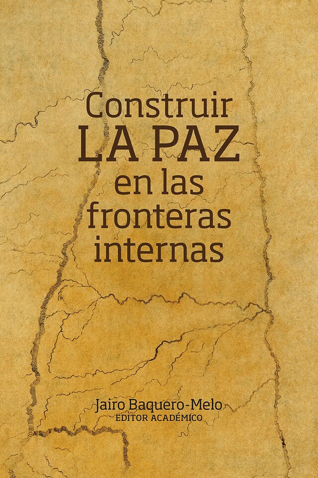 Buchcover für Construir la paz en las fronteras internas