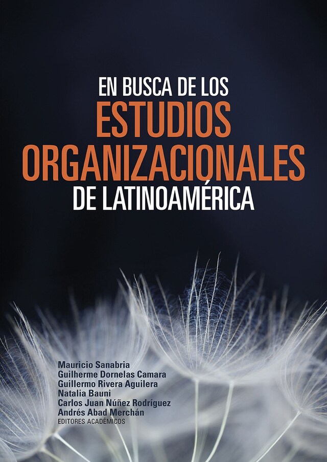 Kirjankansi teokselle En busca de los estudios organizacionales de Latinoamérica