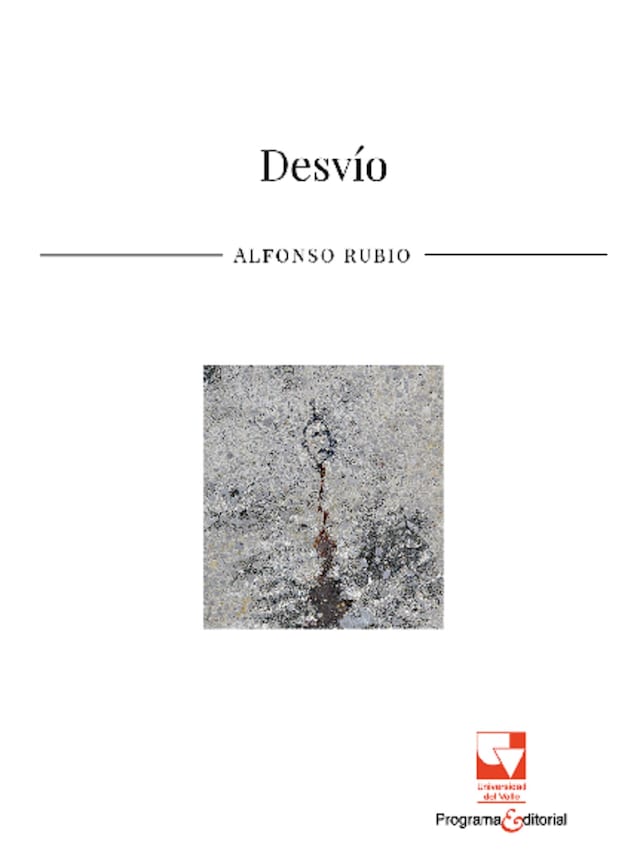 Book cover for Desvío