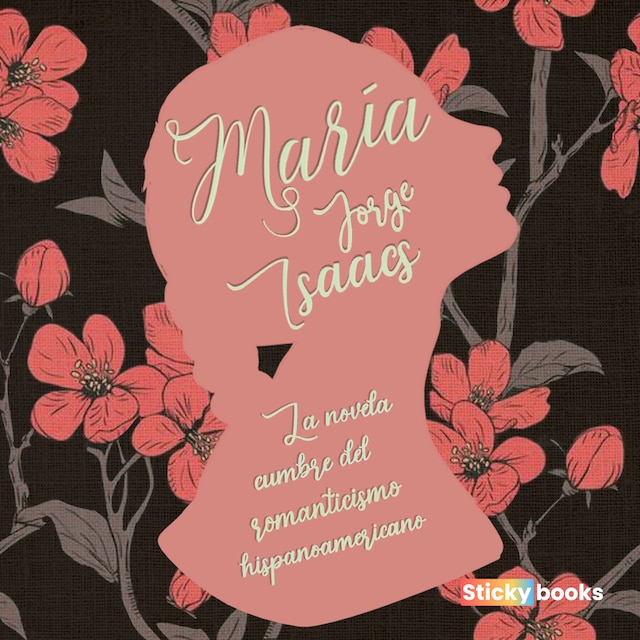 Book cover for María