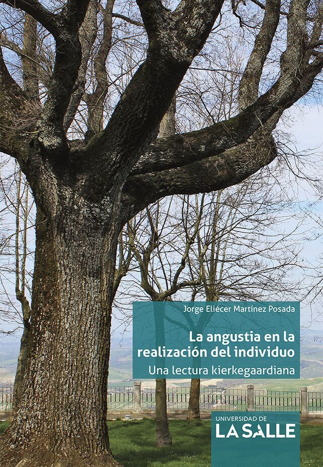 Couverture de livre pour La angustia en la realización del individuo