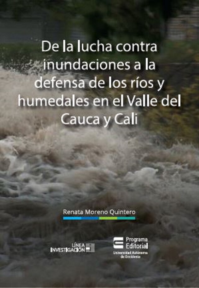 Couverture de livre pour De la lucha contra inundaciones a la defensa de ríos y humedales en el Valle del Cauca y Cali