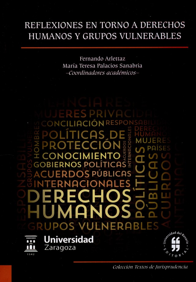 Buchcover für Reflexiones en torno a derechos humanos y grupos vulnerables