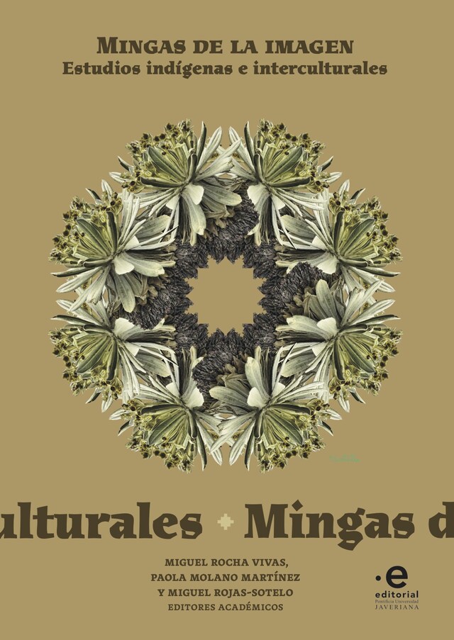 Book cover for Mingas de la imagen