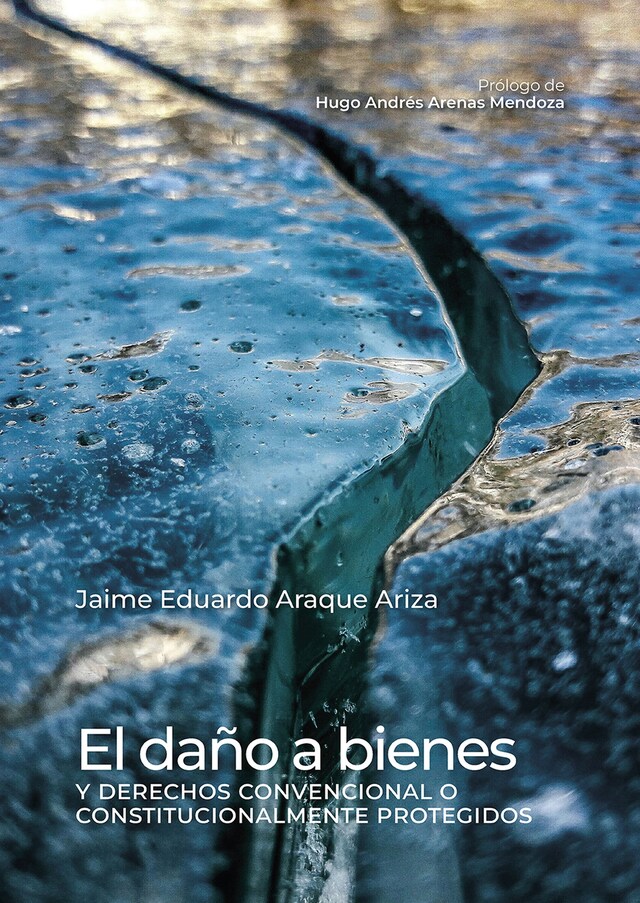 Portada de libro para El daño a bienes y derechos convencional o constitucionalmente protegidos