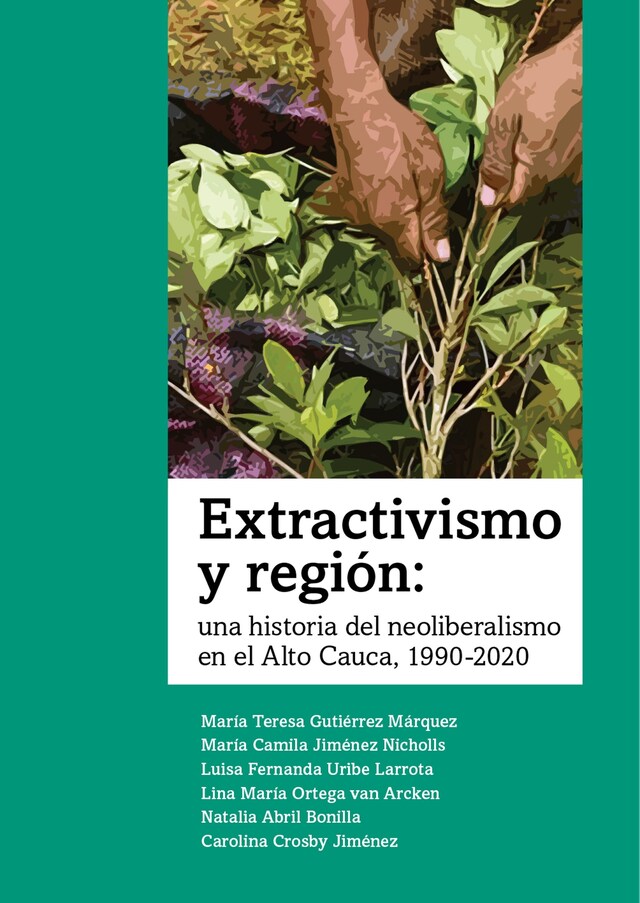 Buchcover für Extractivismo y región