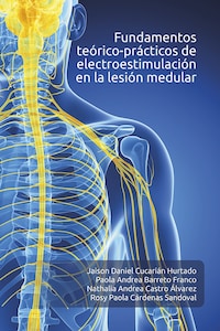 Fundamentos teórico-prácticos de electroestimulación en la lesión medular