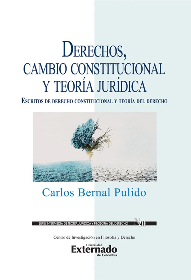 Boekomslag van Derechos, cambio constitucional y teoría jurídica : escritos de derecho constitucional y teoría del derecho