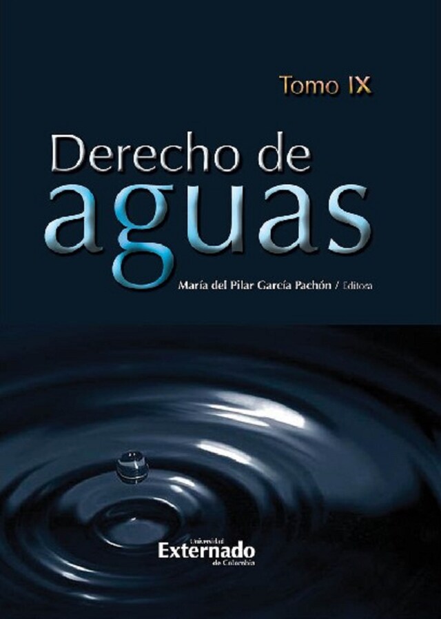 Book cover for Derecho de Aguas