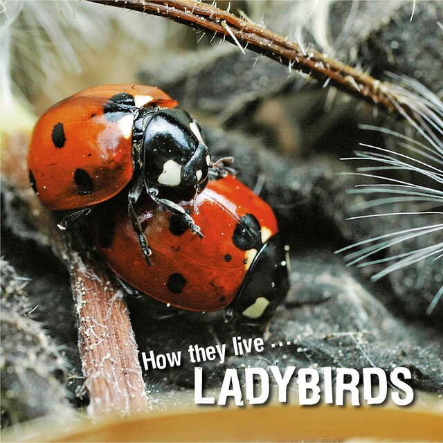 Kirjankansi teokselle How they live... Ladybirds