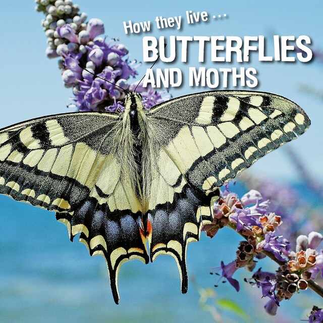 Book cover for How they live... Butterflies and Moths