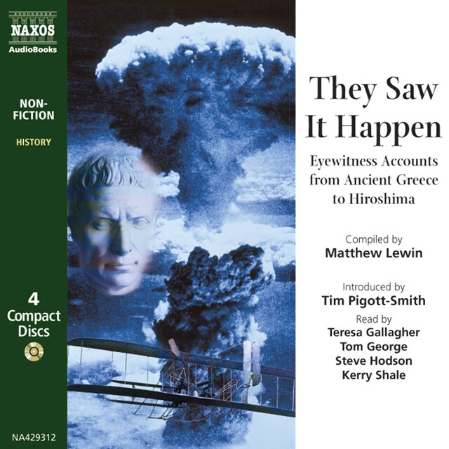 Book cover for They Saw It Happen