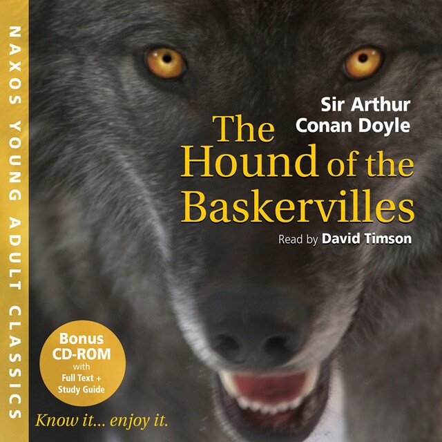 Book cover for Young Adult Classics – The Hound of the Baskervilles