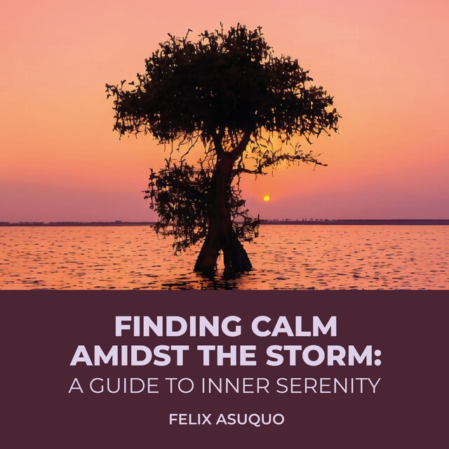 Book cover for Finding Calm Amidst the Storm: A Guide to Inner Serenity