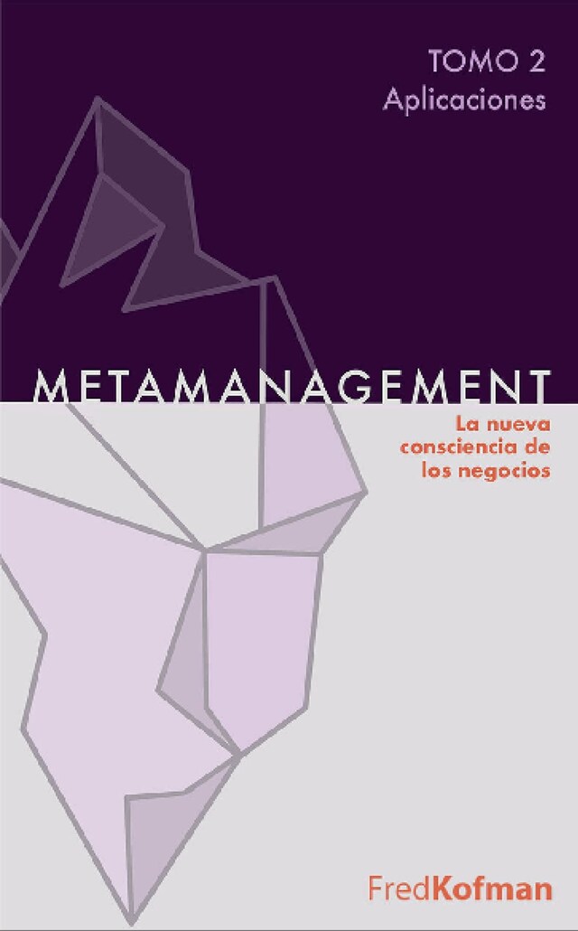 Book cover for Metamanagement - Tomo 2 (Aplicaciones)