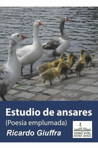 Estudio de Ansares bookCoverFor