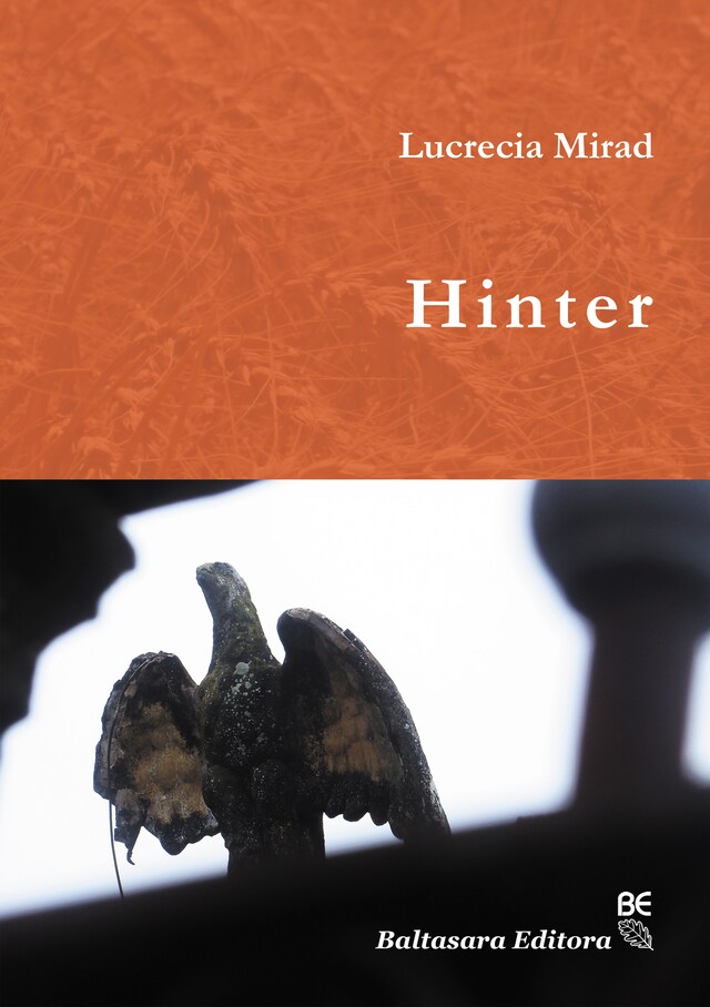 Book cover for Hinter