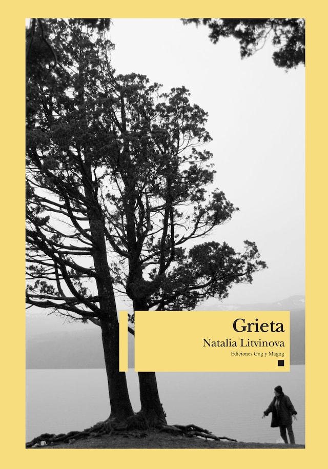Book cover for Grieta