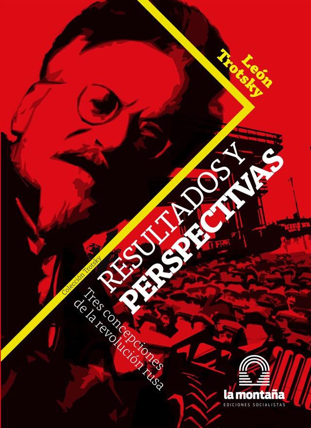 Book cover for Resultados y perspectivas