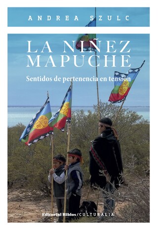 La niñez mapuche bookCoverFor