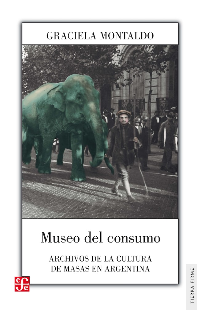 Couverture de livre pour Museo del consumo