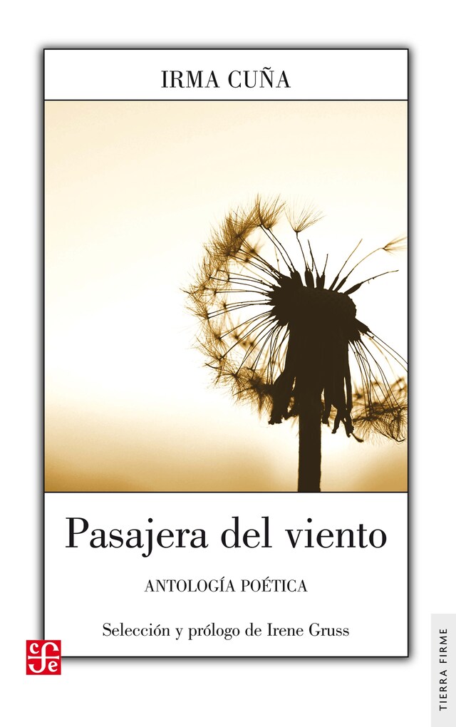 Couverture de livre pour Pasajera del viento