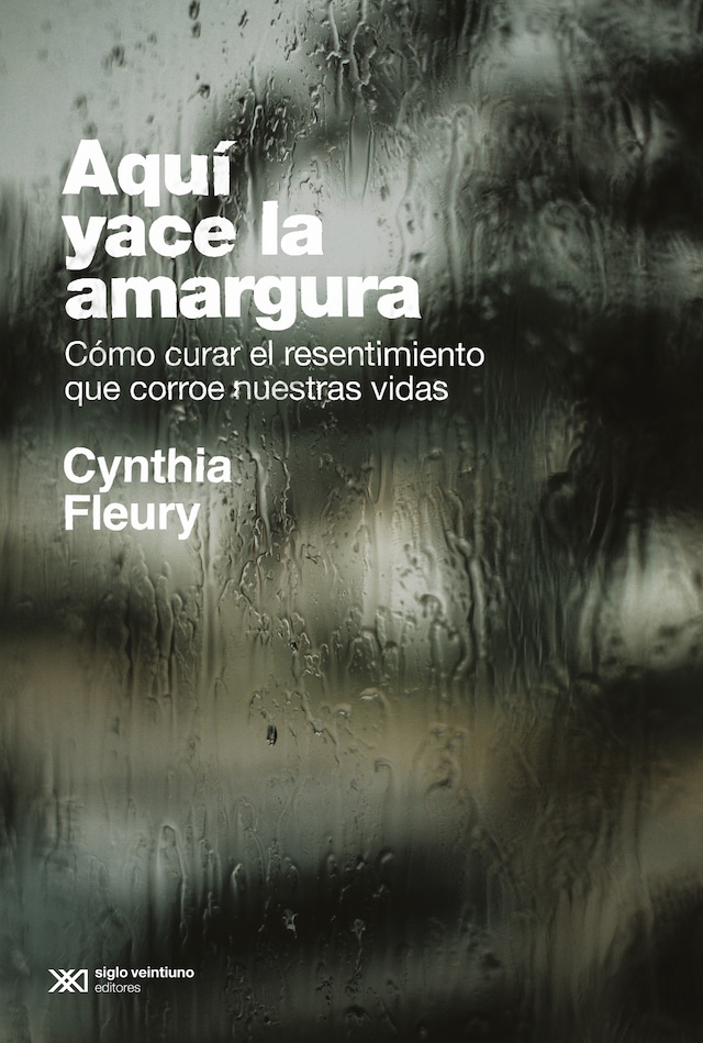 Book cover for Aquí yace la amargura