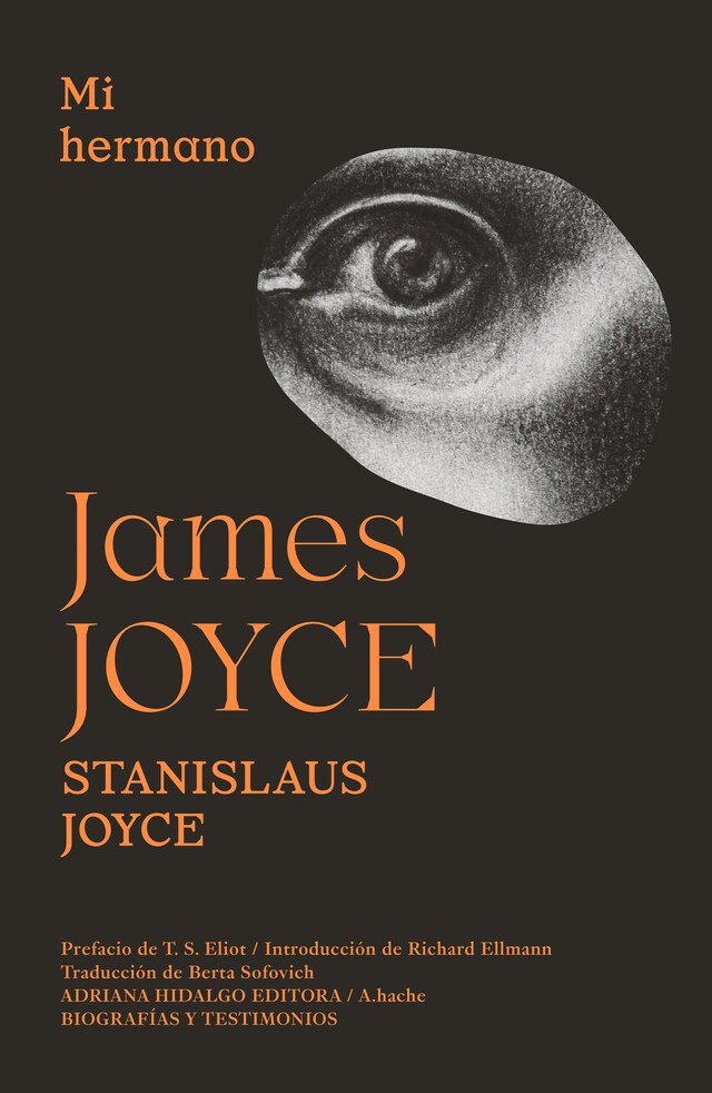 Book cover for Mi hermano James Joyce