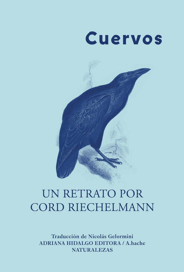 Copertina del libro per Cuervos