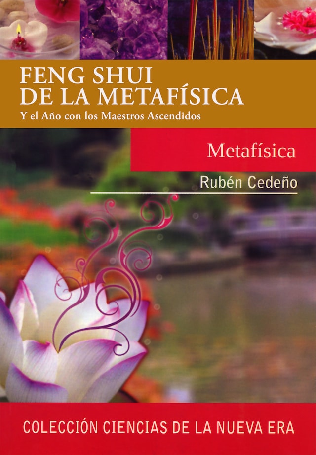 Buchcover für Feng Shui de la Metafísica
