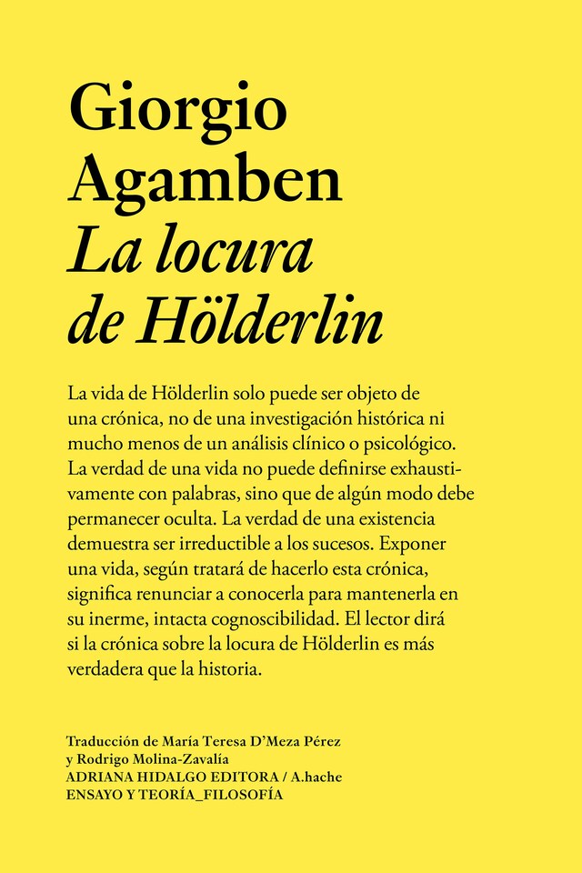 Buchcover für La locura de Hölderlin