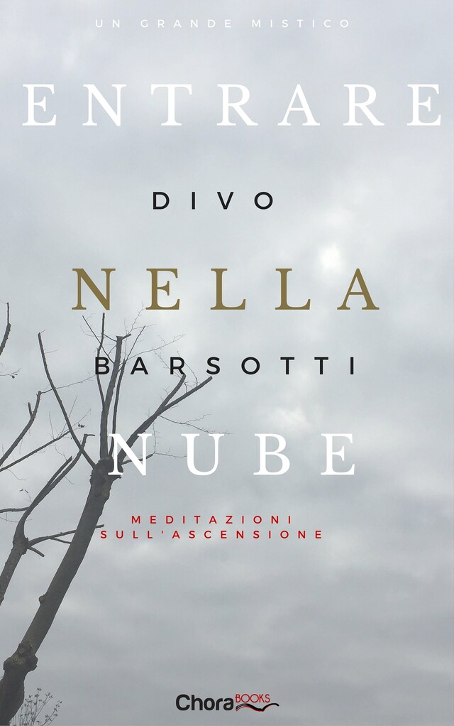 Buchcover für Entrare nella nube