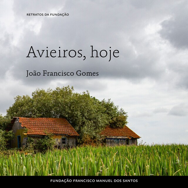 Book cover for Avieiros, hoje