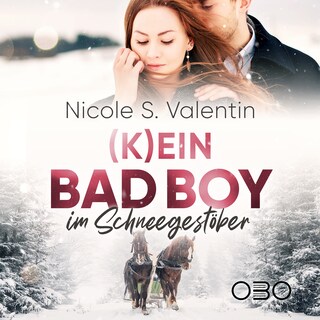 (K)ein Bad Boy im Schneegestöber als Hörbuch