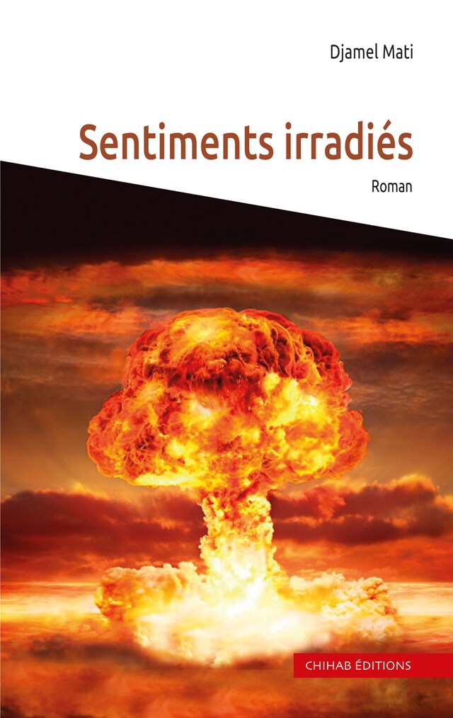 Book cover for Sentiments irradiés