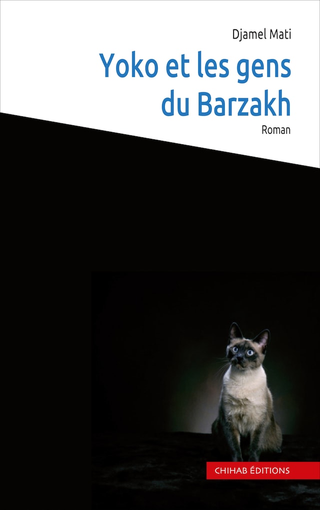 Book cover for Yoko et les gens du Barzakh