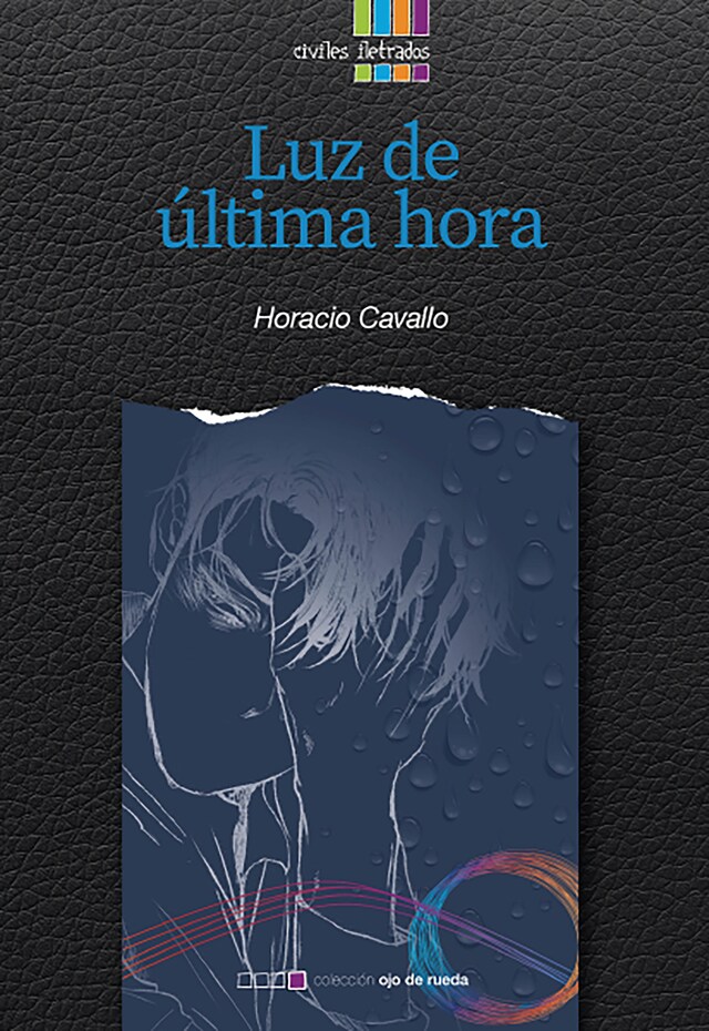 Book cover for Luz de última hora