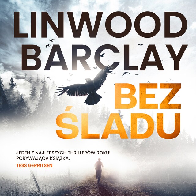 Book cover for Bez śladu