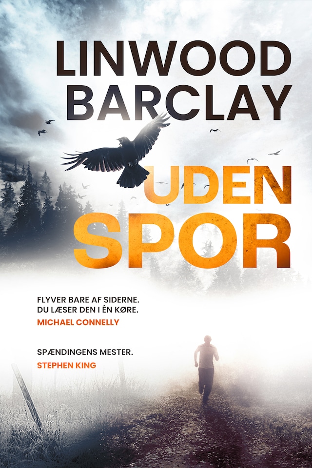 Book cover for Uden spor