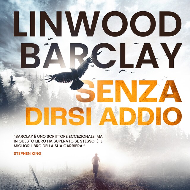 Book cover for Senza dirsi addio