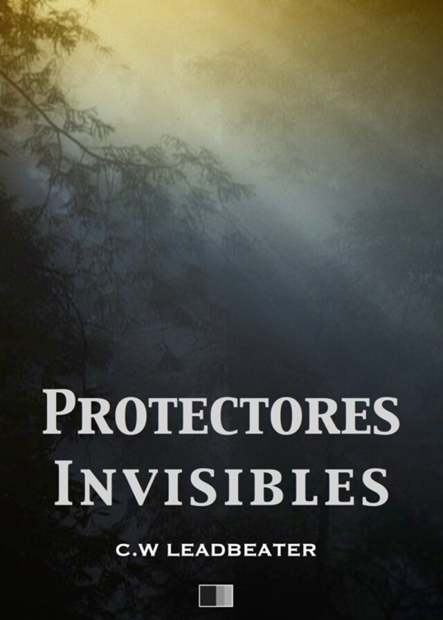 Book cover for Protectores Invisibles