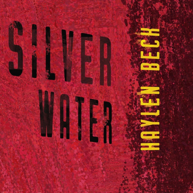 Portada de libro para Silver Water