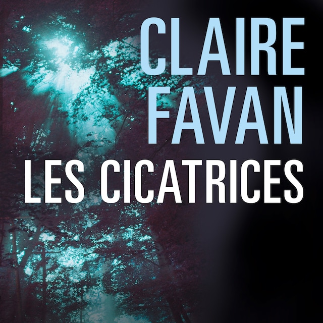 Book cover for Les Cicatrices